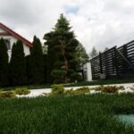 Bonsai w ogrodzie trawiastym, EmOgrody