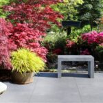 Harmony Regular galeria3