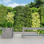 Lawodonica Regular galeria1