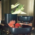 Miska SJÄLVSTÄNDIG