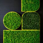 Zielone ściany BuzziMood BuzziSpace