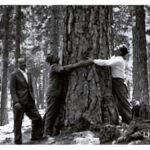 Giuseppe Margaritelli, Las Fontaines, Burgundia, 1962