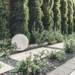 Bambusowy pokój w Lublinie, Planea