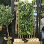 71307437 461330674467947 2618096696525062144 n