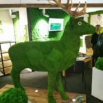 71582314 813518385730898 1878465953348452352 n