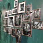 71645180 536655450459993 7881994432520650752 n