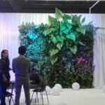 71884072 679717655867581 7892016979224035328 n