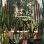 71907871 2081435772162867 2203633726850596864 n