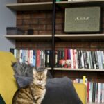 PROJEKT MIŚKIEWICZ DESIGN (8)