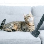 3_39002215_41_09_m_hp720pet 011-X