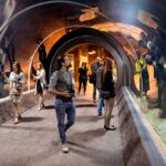 NR_119_fot.marcinpietrzak