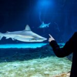 NR_120_fot.marcinpietrzak