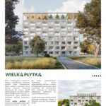 TDA_Klaudia_Golaszewska_WIELKA PLYTKA (1)