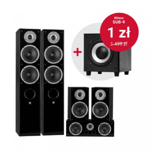 4_Zdjęcie_Zestawu_Raptor51v-Sub9-black