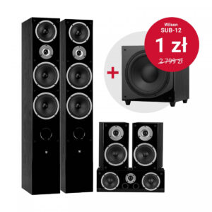 4_Zdjęcie-Zestawu_Raptor91v-Sub12-black