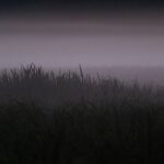 Biebrza fot. Jacek Tryc (2)