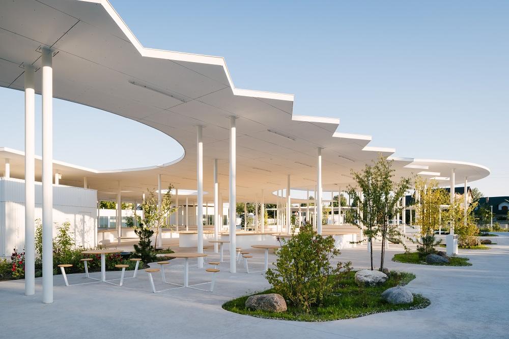 blonie-market-5mjpg-image