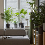 Tomaszewski_Rośliny_3