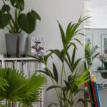 Tomaszewski_Rośliny_5