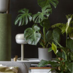 Tomaszewski_Rośliny_6