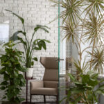 Tomaszewski Rośliny