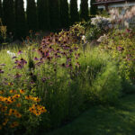 Bylinowy ogród w Mrągowie - zaprojektowany przez pasjonatkę ogrodnictwa Martę Nicewicz - 2023