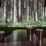 FOREST_biurokreacja-26 Duży