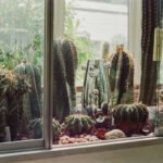 MalwinaKonopackaLUSTRA_fotoPIONstudio_OKOcyrk