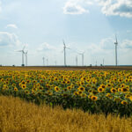 A005C0013_250721_V0KE05_000227 Duży