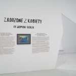 Kwestia kobieca 1550 – 2025. Fot Kwestia kobieca 1550 – 2025 fot. Materiały prasowe Muzeum Sztuki Nowoczesnej w Warszawie