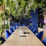 Tom Kurek Fresha SAAN (2)